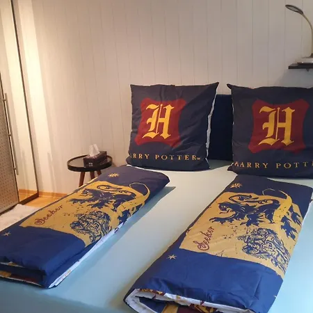Apartment In Bad Schussenried